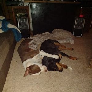 Meet your Posher, Deana